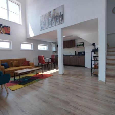 Apartament Alyosha 锡吉什瓦拉 外观 照片