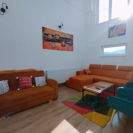 Apartament Alyosha 锡吉什瓦拉 外观 照片
