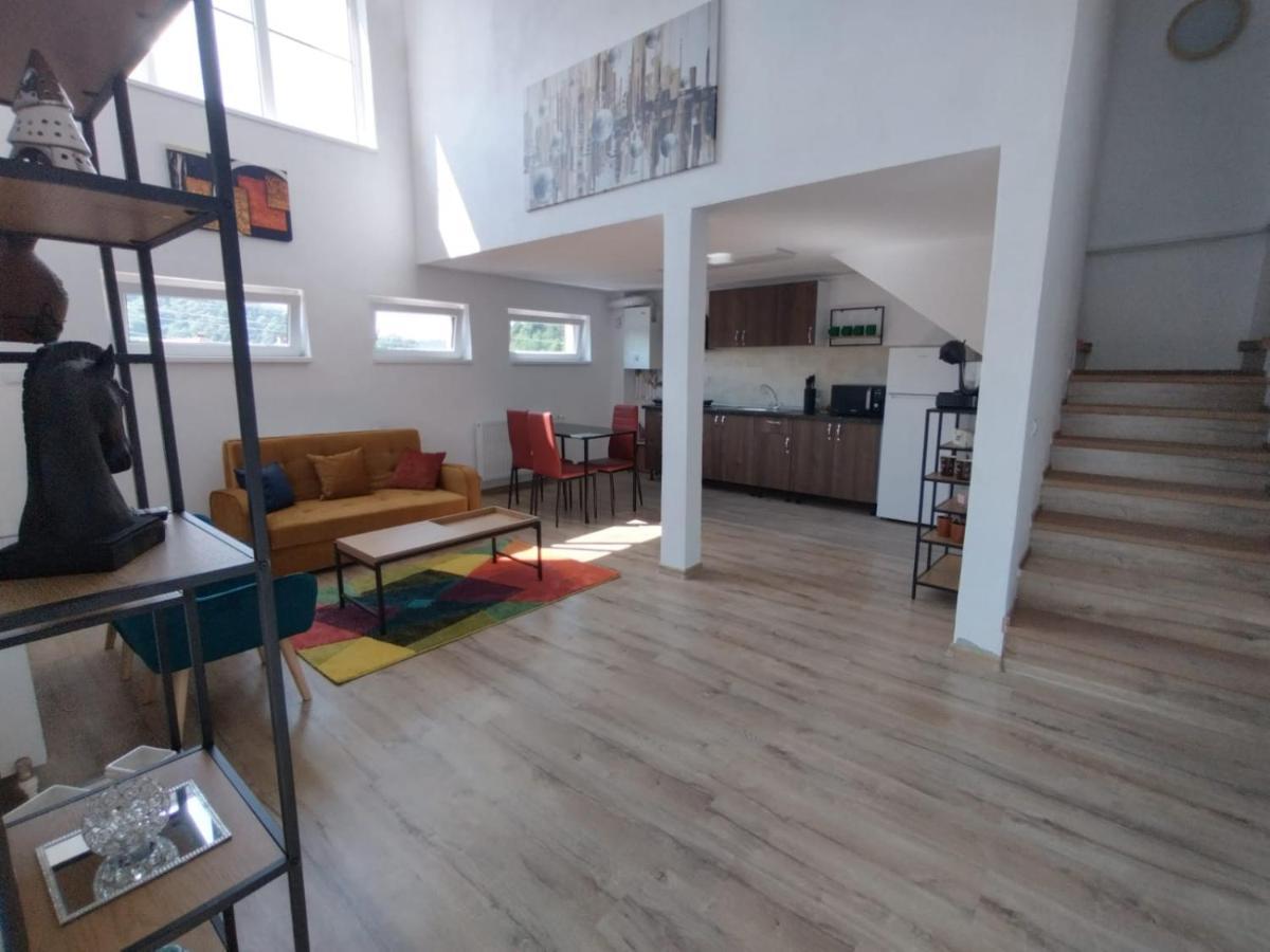 Apartament Alyosha 锡吉什瓦拉 外观 照片