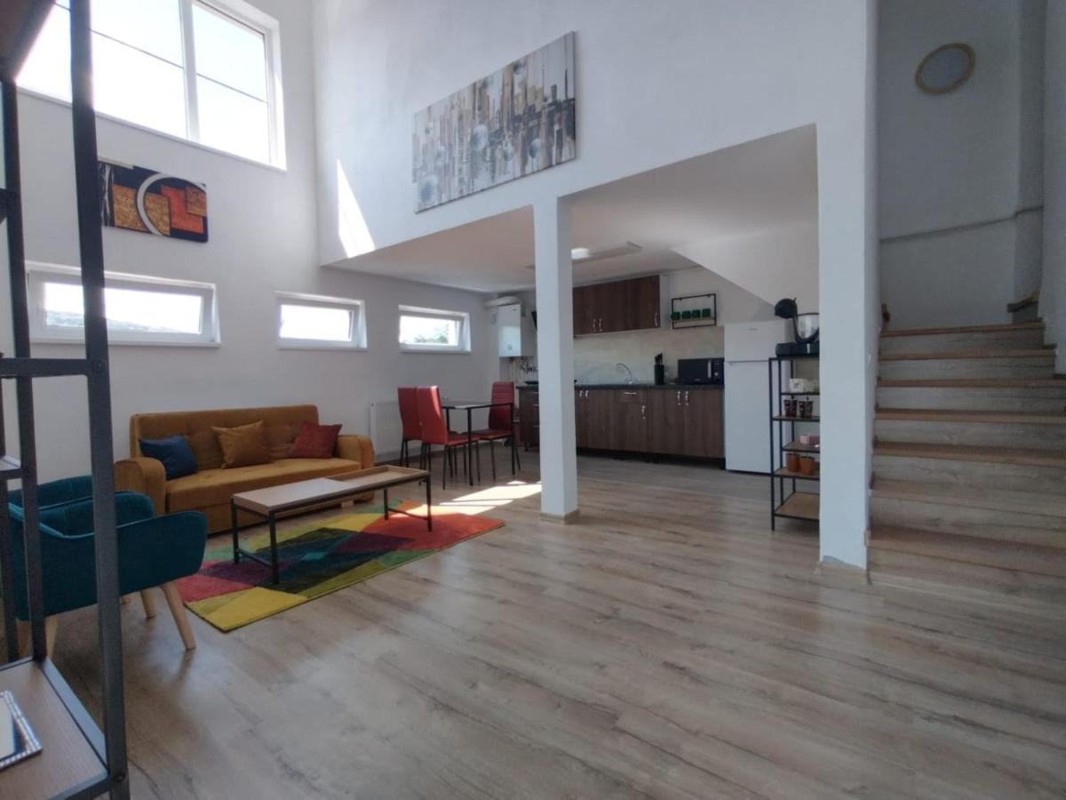 Apartament Alyosha 锡吉什瓦拉 外观 照片