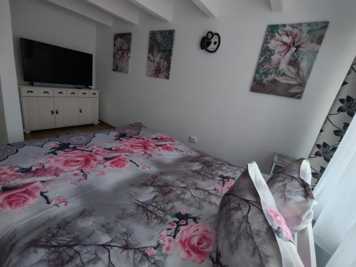 Apartament Alyosha 锡吉什瓦拉 外观 照片