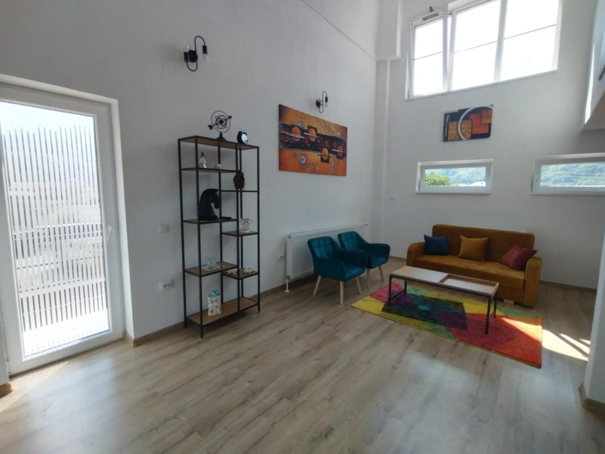 Apartament Alyosha 锡吉什瓦拉 外观 照片