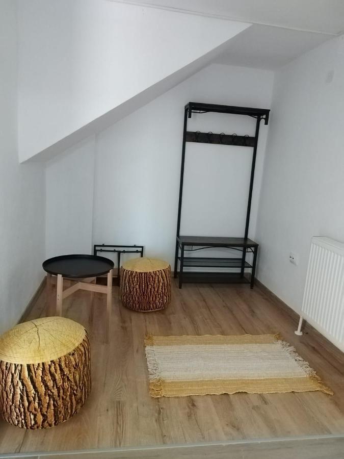 Apartament Alyosha 锡吉什瓦拉 外观 照片
