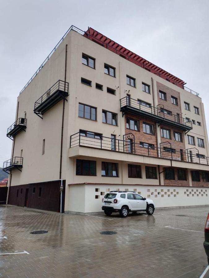 Apartament Alyosha 锡吉什瓦拉 外观 照片