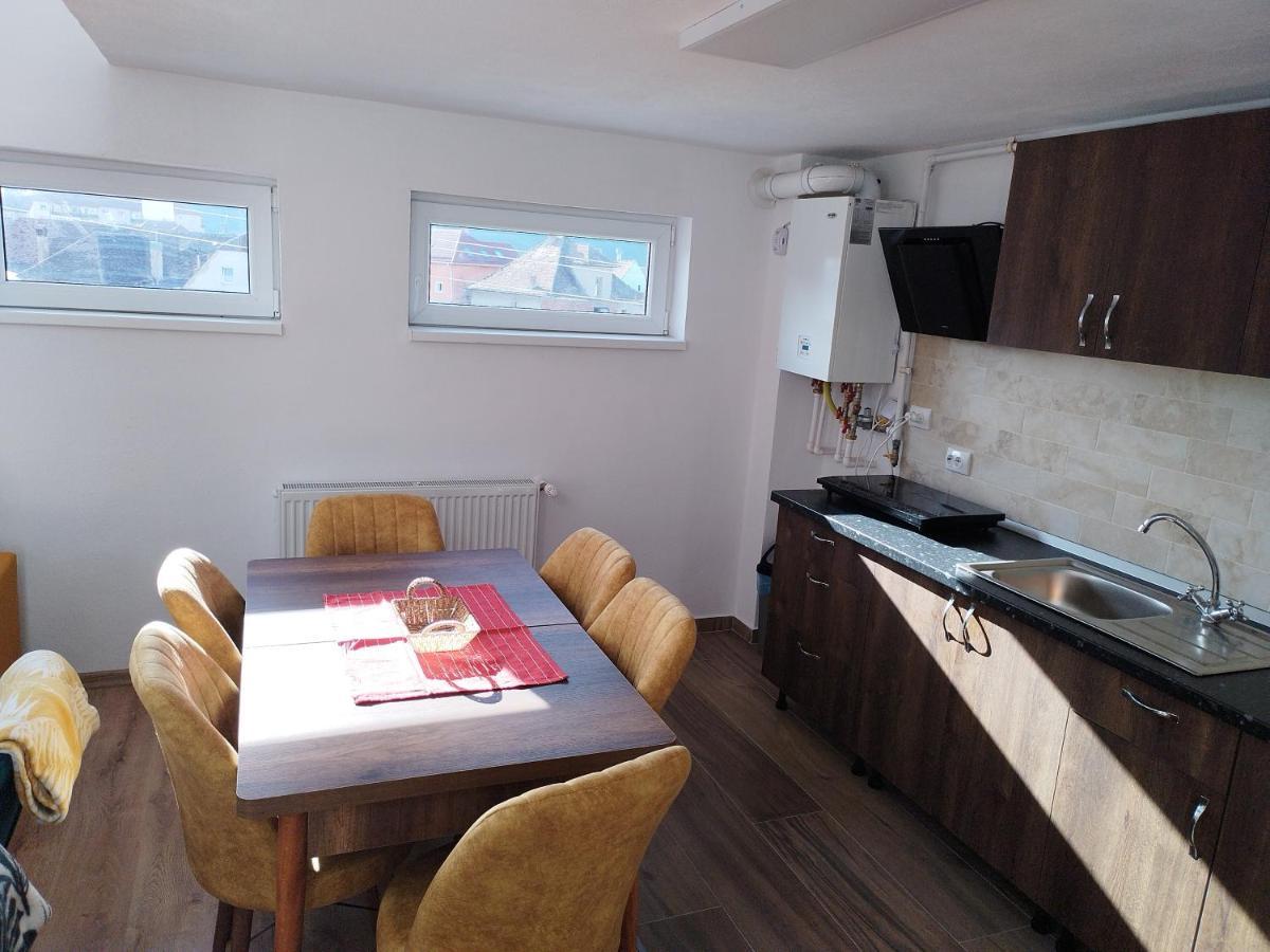Apartament Alyosha 锡吉什瓦拉 外观 照片