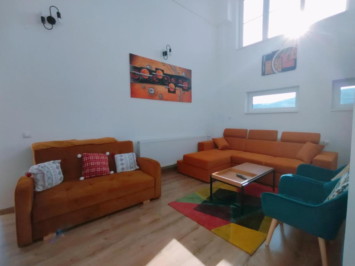 Apartament Alyosha 锡吉什瓦拉 外观 照片