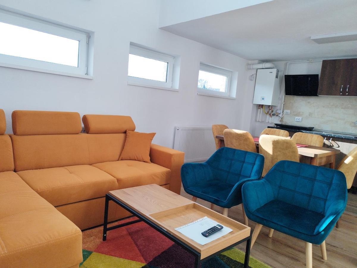 Apartament Alyosha 锡吉什瓦拉 外观 照片
